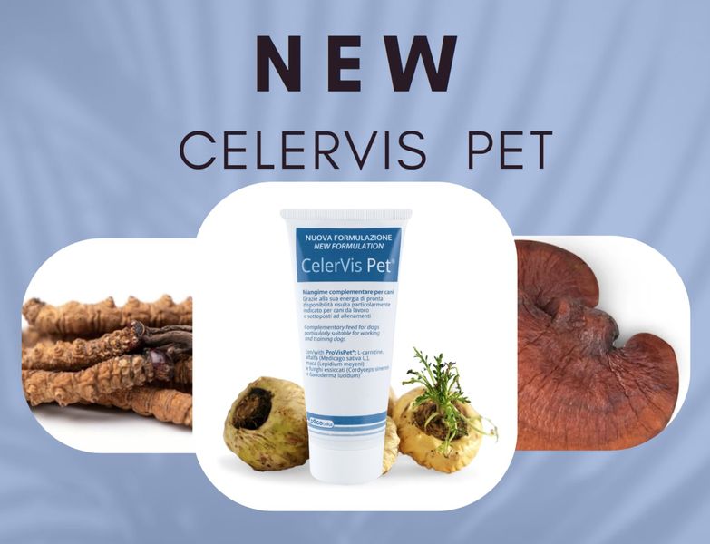 DOGOteka CelerVis NEW Energy Paste 150 g