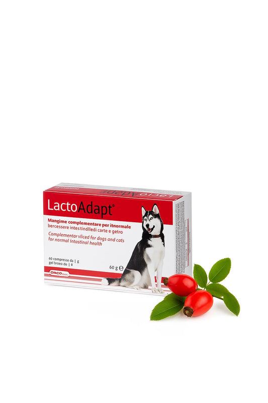 Dogoteka New Lacto Adapt